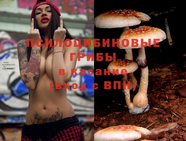 гашик Балахна
