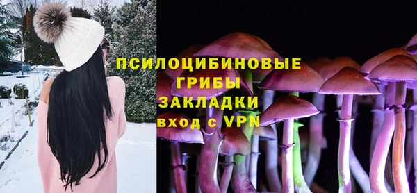 гашик Балахна