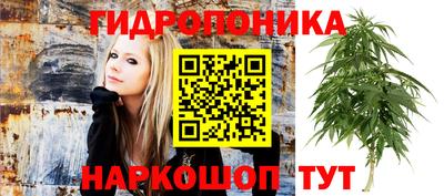 прущие грибы Заводоуковск