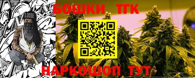 прущие грибы Заводоуковск